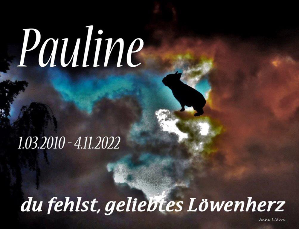 Bild nicht gefunden!